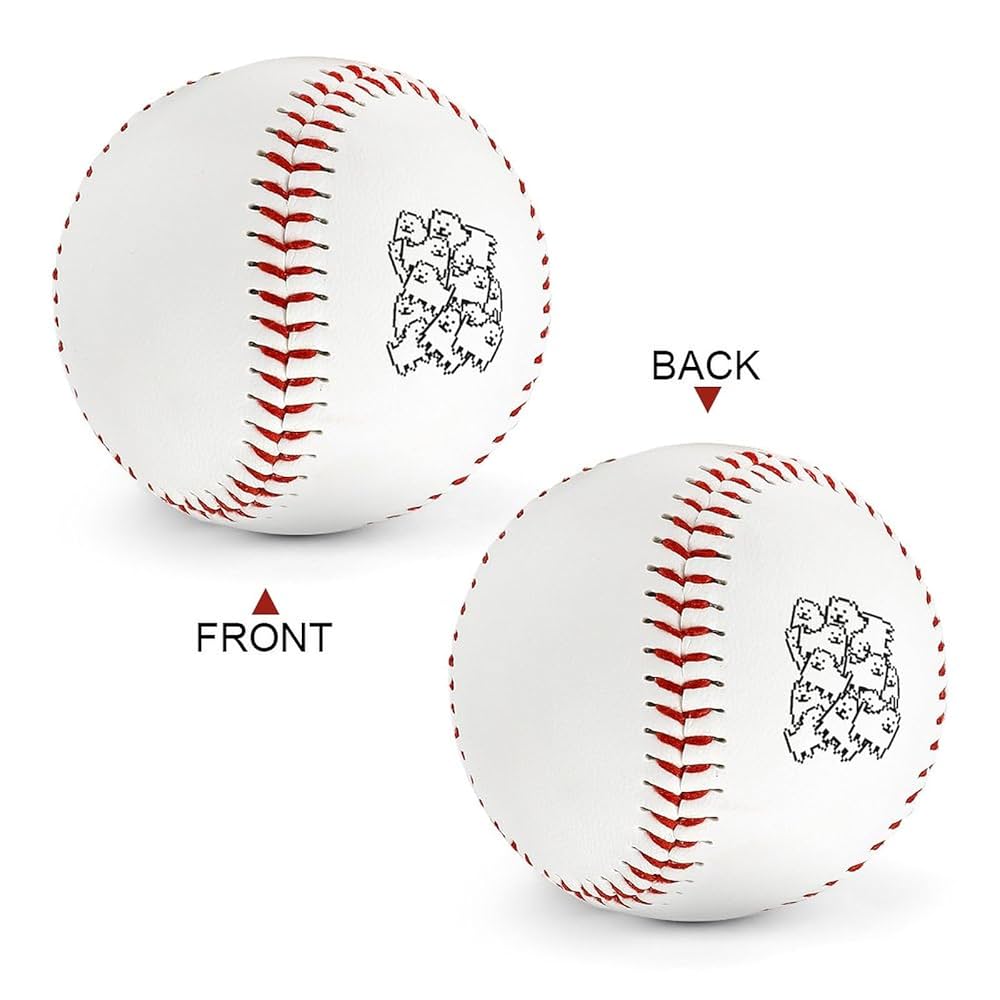 練習用野球ボール 硬式野球 練習試合球 1ダース 12球入 B革 練習用ボール バージン