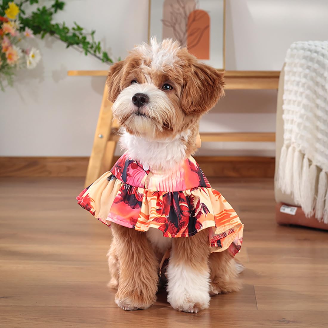 小型犬ワンピース ペットパラダイス レースワンピース 小型犬 / PET PARADISE