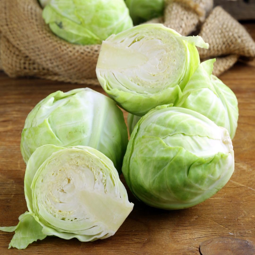 Cabbage F1 ‘Mozart’ Seeds – Hardy Summer & Autumn Vegetable, High Yield, Drought-Tolerant, Uniform Heads, Veg Saver Seeds, 1 x Packet 50 Seeds, By Thompson & Morgan