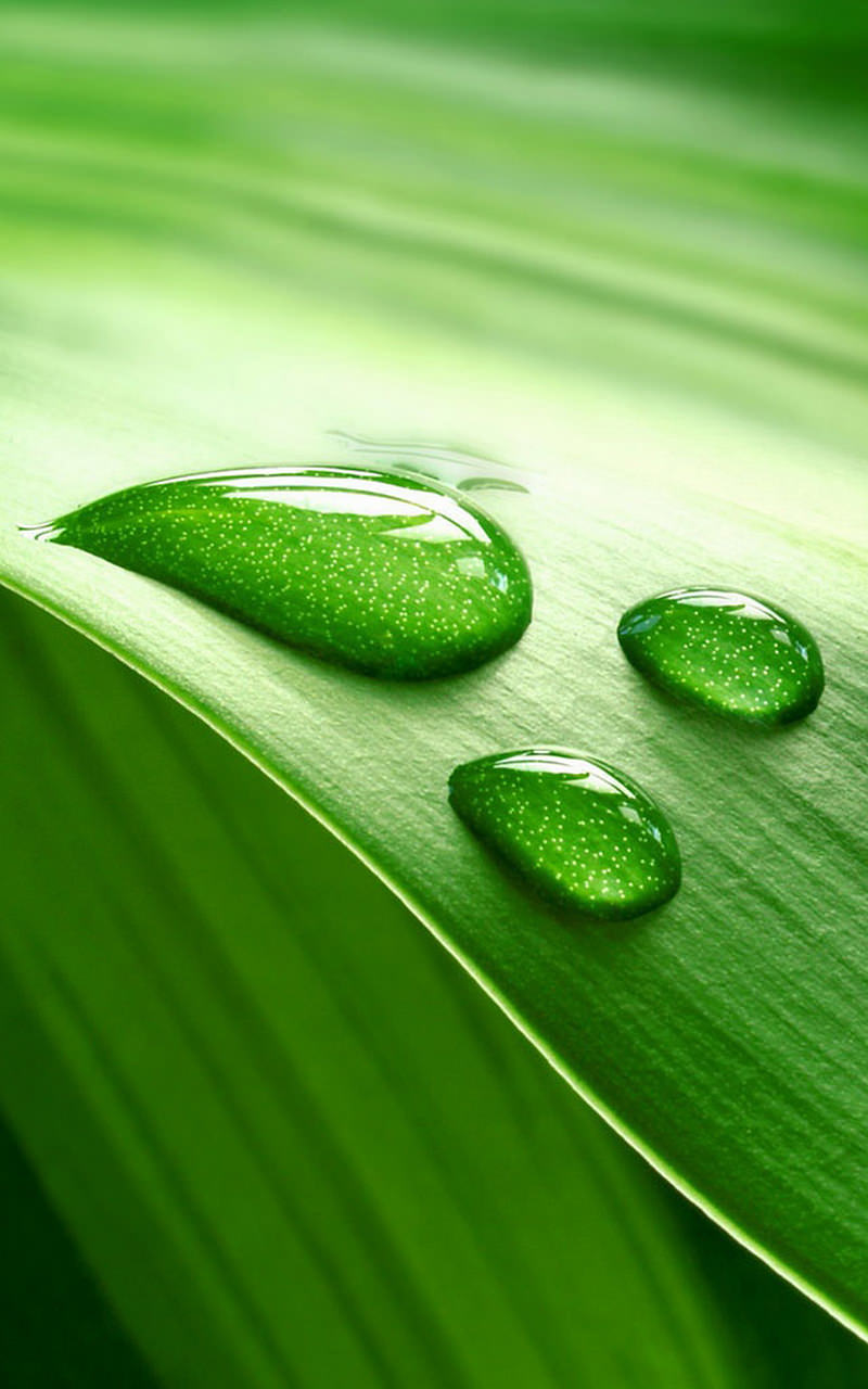 Water Drop Live Wallpaper Aplicativo na Amazon Appstore
