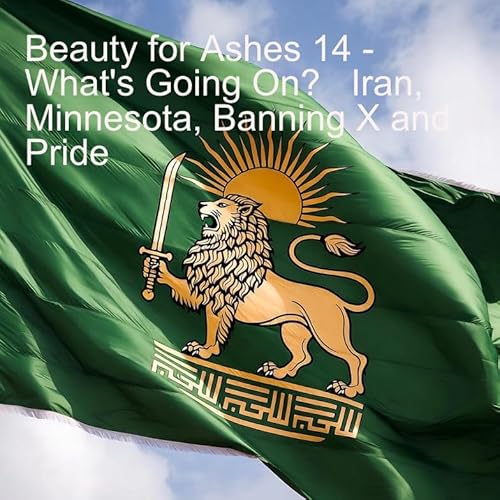 Beauty for Ashes 14 - What's Going on?