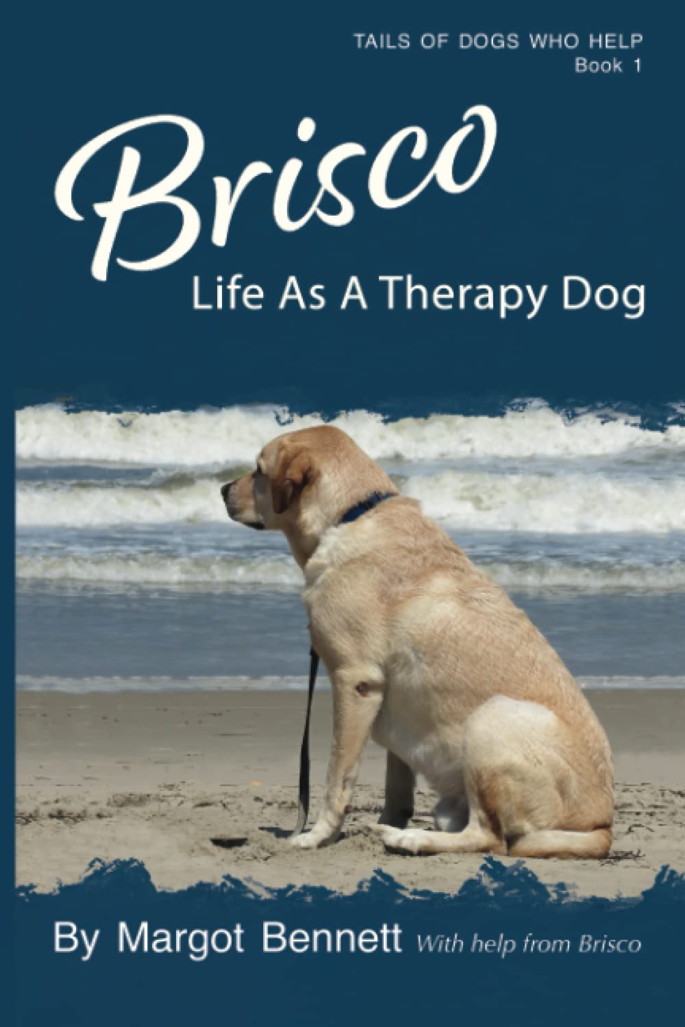 Brisco, Life As A Therapy Dog (Tails Of Dogs Who Help)