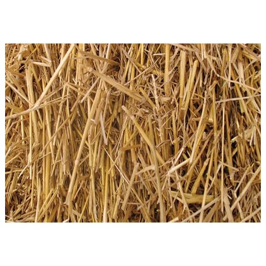 4 Pounds 100 Percent Natural Wheat Straw (4 lbs.)