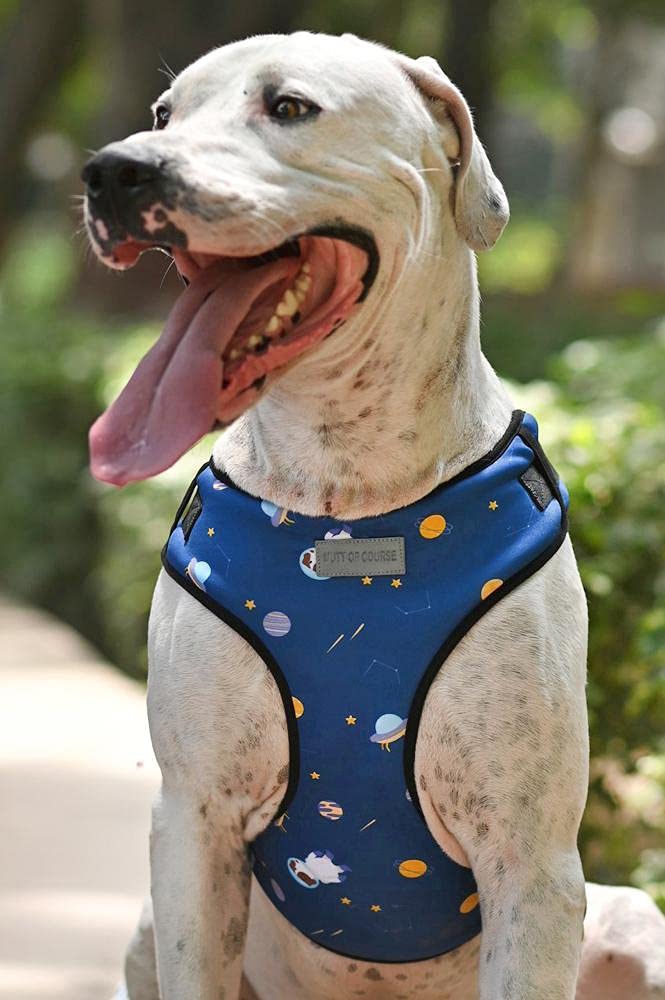 See full amazon price history chart for Mutt of Course Elon Mutt Dog Harness (XL) Mutt of Course Elon Mutt Dog Harness (XL) (B097LR1VVJ) Amazon Price History, Amazon Price Tracker