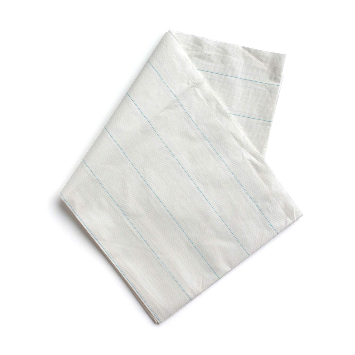 Papier-Einmallaken 100cm x 200cm Tragelaken Einweg-Laken (25 Stück)
