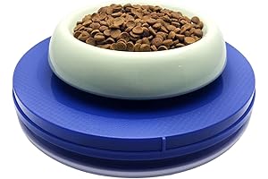 No More Ant Tray: Cat Food Bowl with Protective Moat