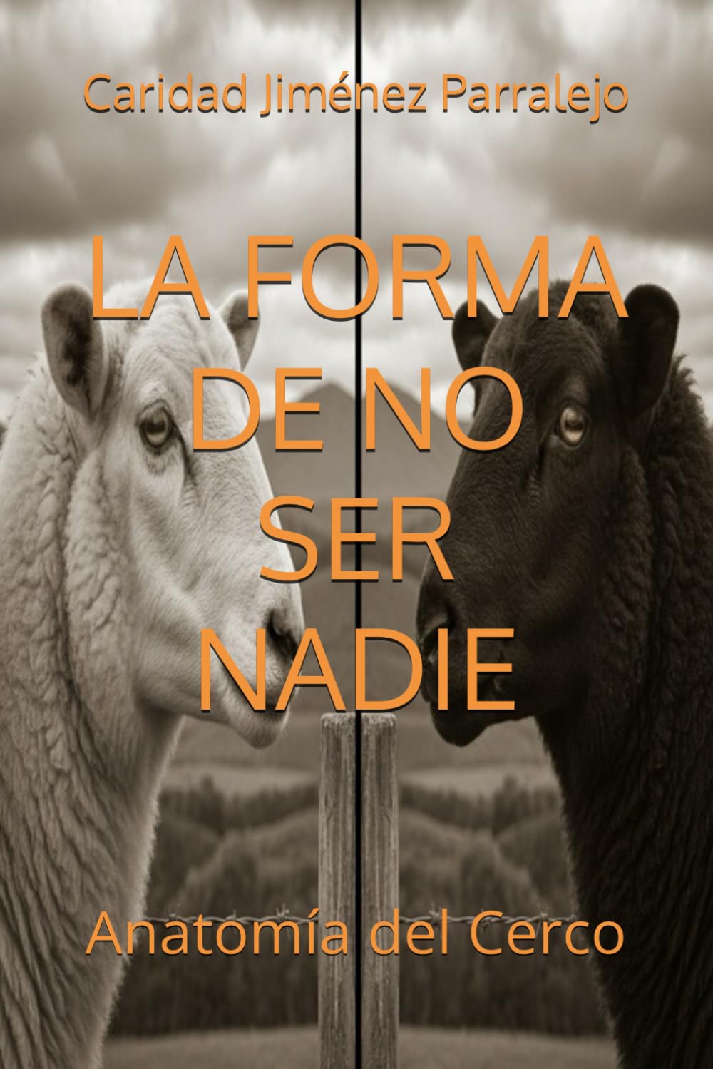 LA FORMA DE NO SER NADIE: Anatomía del Cerco