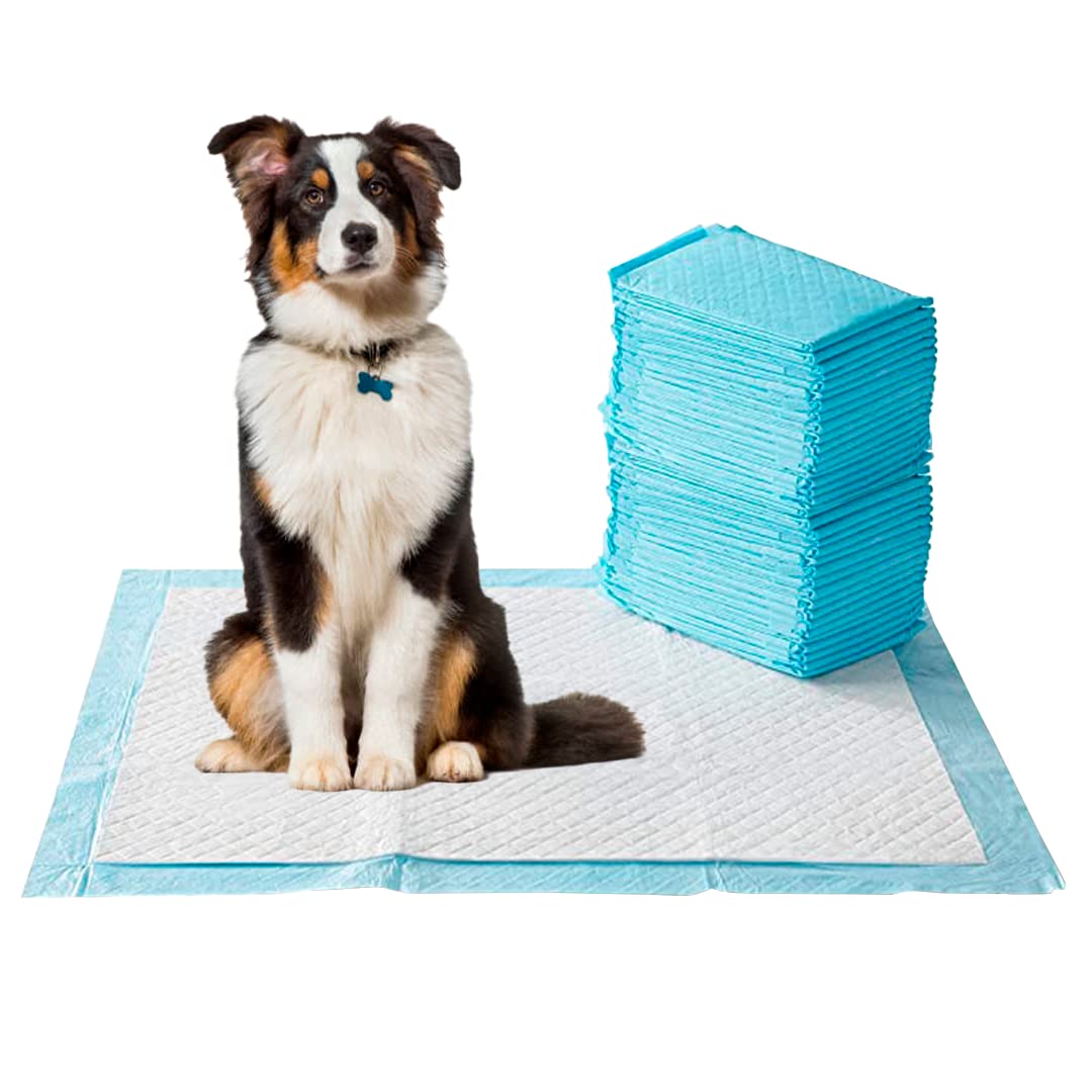 Hygena ScoopPee Pads 40 Count.