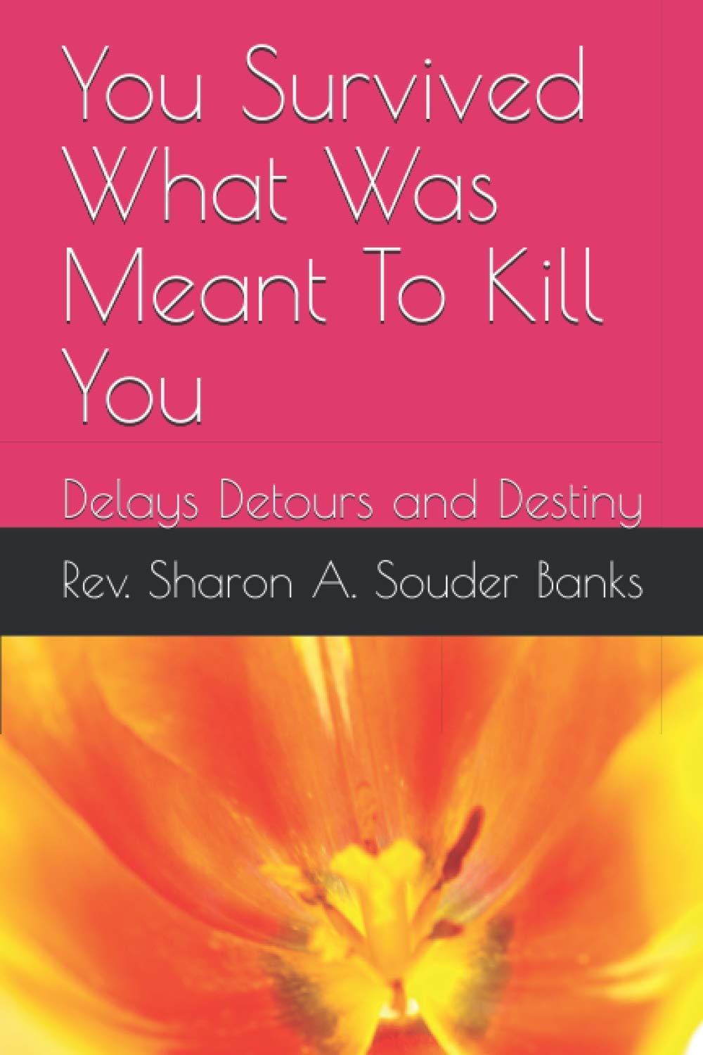 You Survived What Was Meant To Kill You: Delays Detours and Destiny