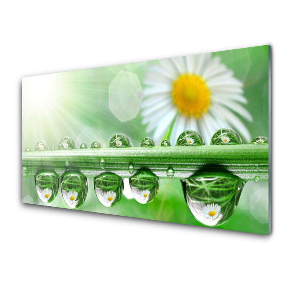 Impression sur verre acrylique 125x50cm Tulup tableau déco nature