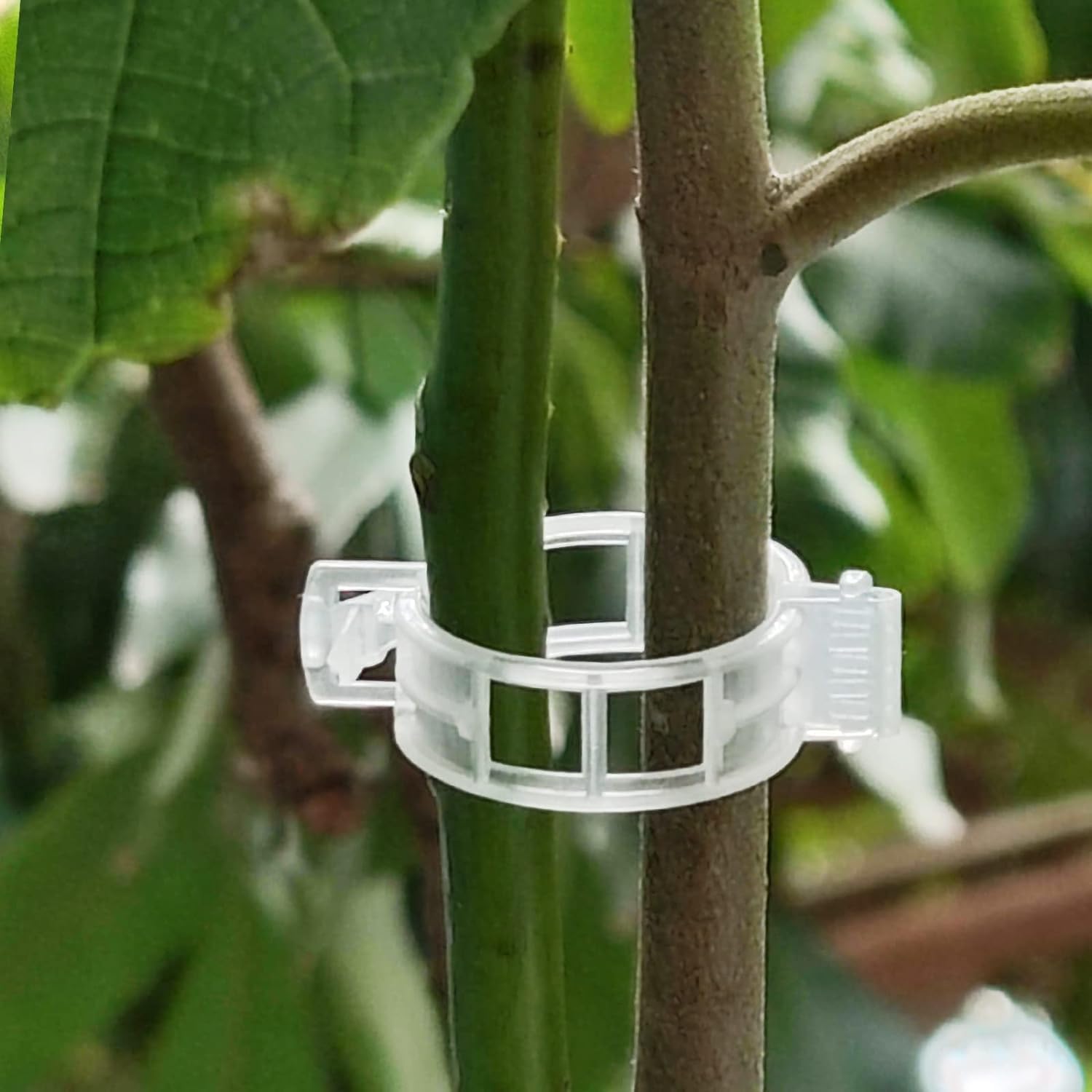 100PCS Tomato Clips Garden Plant Clips Plant Supports for Garden Tomato Plant Support Plant Support Clips for Fixing Tomatoes Cucumbers - Image 3