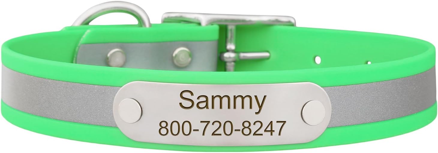 dogIDs Waterproof Reflective Soft Grip Dog Collar with Personalized Nameplate - Custom, Durable, Adjustable, Safe Odor Resistant - Pink, 1 in x 20 in (Fits Neck Sizes: 18-22 in)