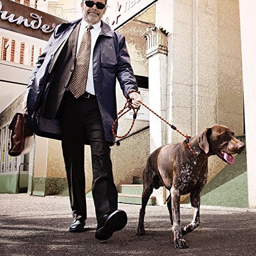 Ezydog luca leash Clearance