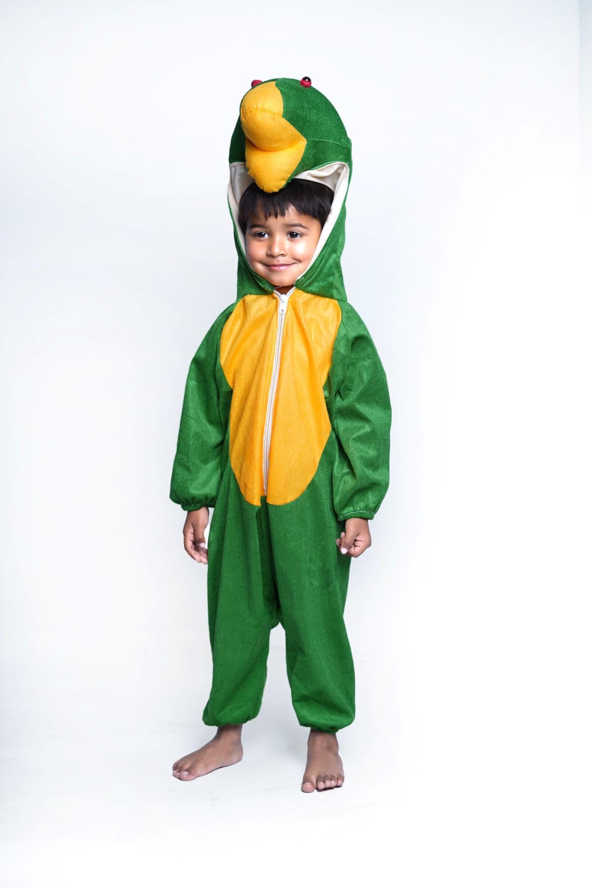 BookMyCostume Frog Water Animal Kids Fancy Dress Costume 6-7 years (B08KT8SJ5M) Amazon Price History, Amazon Price Tracker