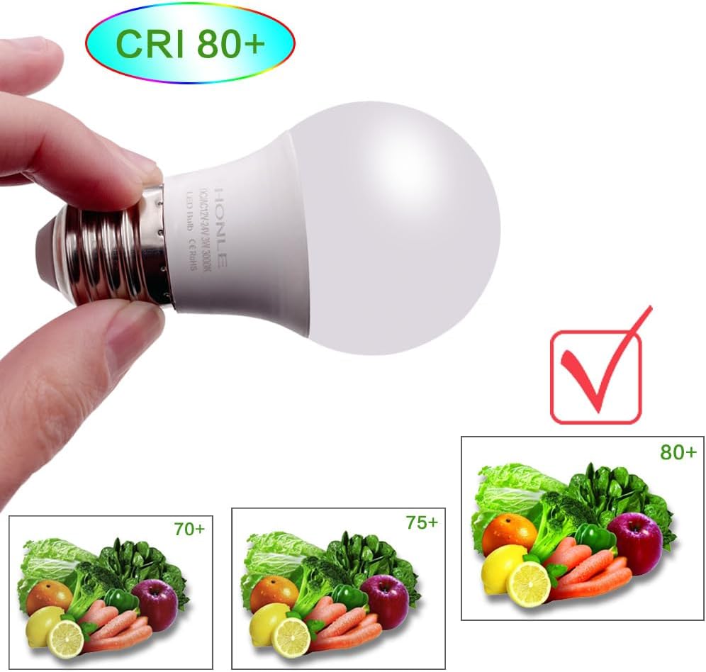 E26 12-24V AC/DC LED Light Bulbs 3W Low Voltage Warm White 3000K E27 Edison Standard Screw Base 25W Equivalent for Rv, Off Grid Solar Panel Project, Boat, Pack of 2