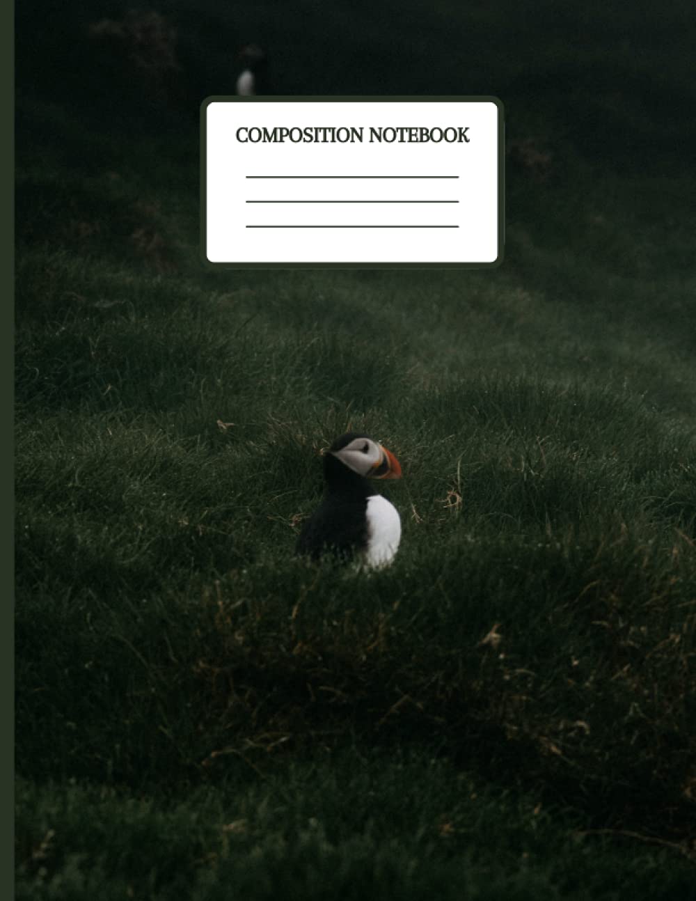 The Little Composition Notebook Gyrfalcon Bird | 8,5 x 11 inches 100 Pages College Ruled | School Classroom