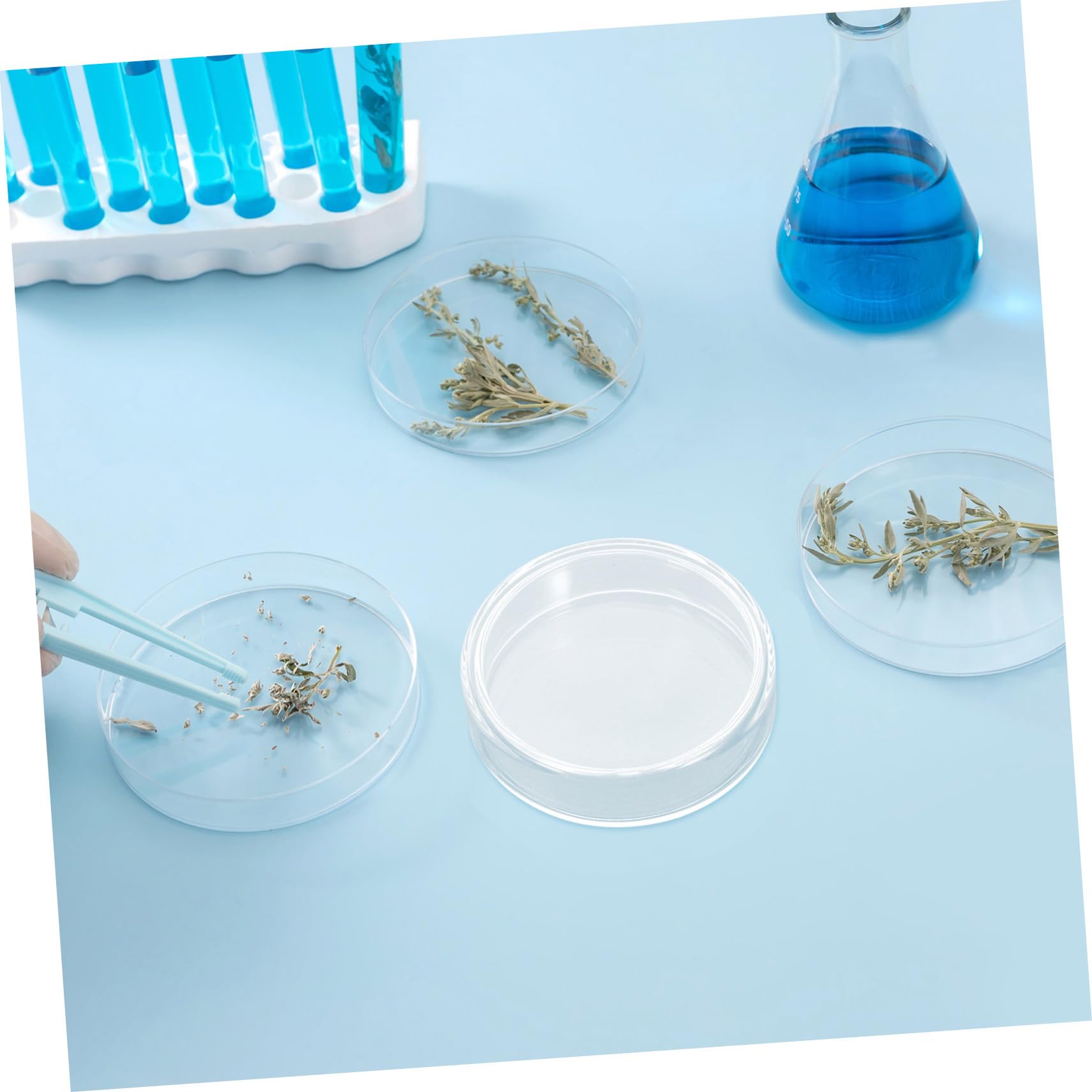 POPETPOP 10stücke Sterile Glas-petrischalen mit Deckel für Laboranalysen Mikrobielle Kulturen Experimente Pilzkulturen und Inokulationen Borosilikatglas Wiederverwendbar Hohe Klarheit