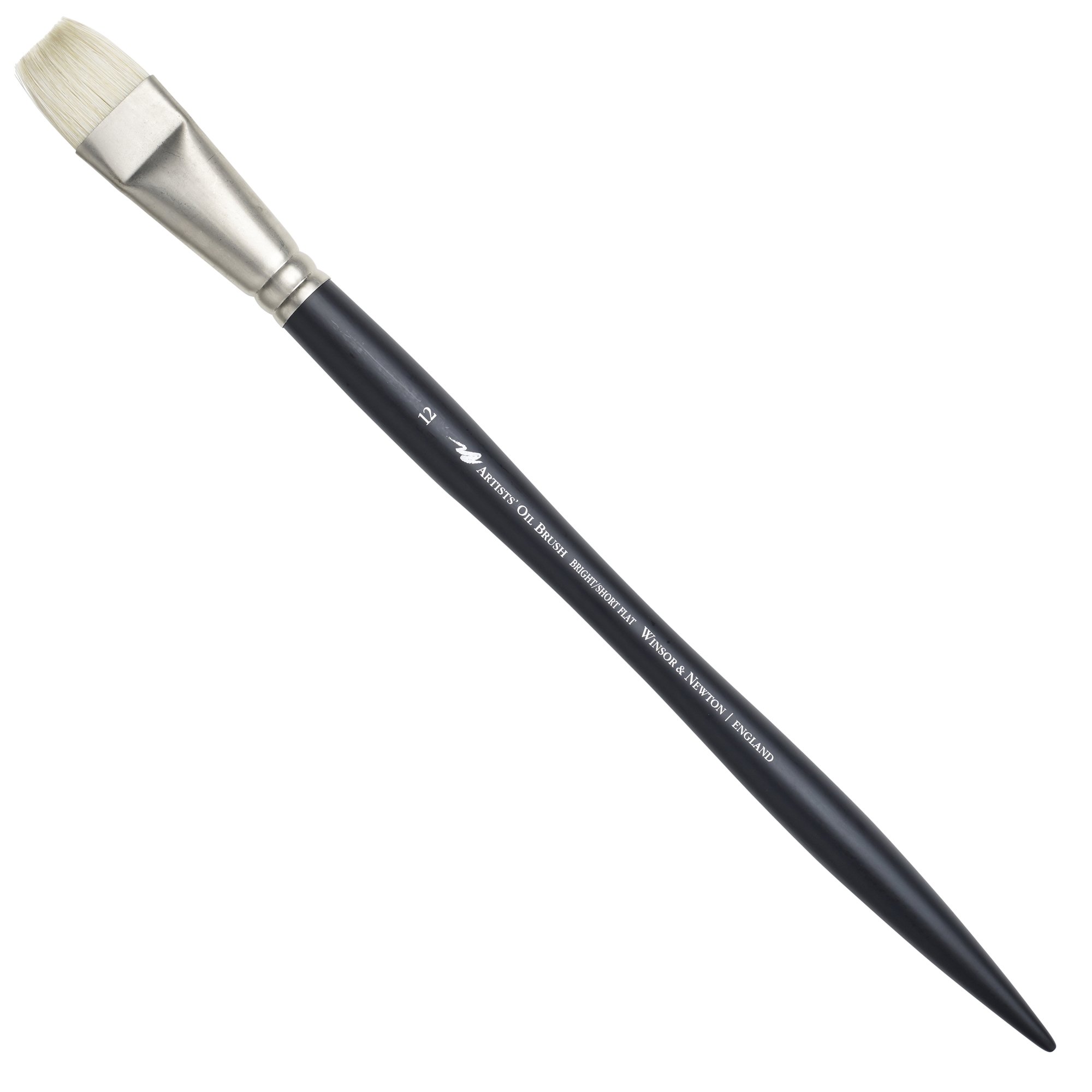 Amazon.com: Winsor & Newton Artists' Oil Hog Paint Brush, Long