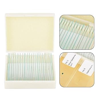 Amazon.co.jp: 顕微鏡スライド スライドガラス プレパラート