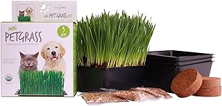 Handy Pantry Organic Cat Grass Kit - Includes 3 Trays, 3 Soil Pucks, and 3 Packs Non GMO Wheatgrass Seed - A Healthy Treat for Cats, Dogs, Rabbits, and More