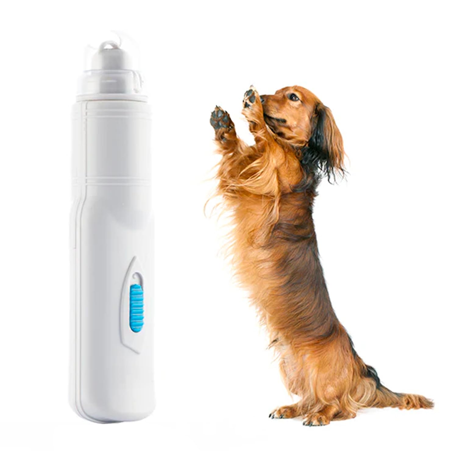 Avilia Lima per Unghie per Animali Domestici, Elettrica - 3 velocità Regolabili, 2 Fessure di Dimensioni Diverse, Adatta a Tutti i Tipi di Animali, Funzionamento a Batterie, in ABS, 3.5x13x3cm