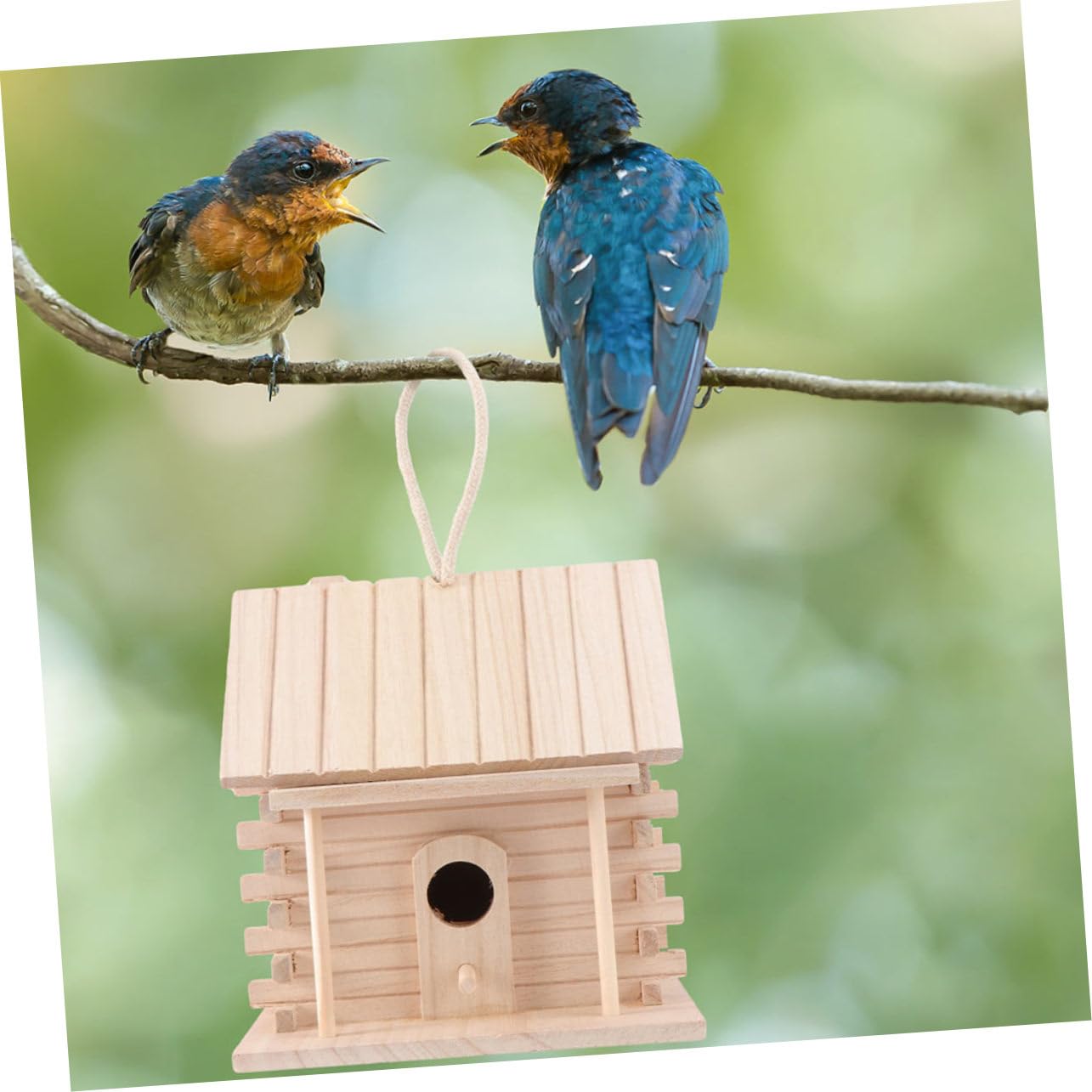 COLLBATH Nid d'Oiseau en Suspendu Maison pour Oiseaux Accessoire d'Extérieur Cabane à Oiseaux Nid pour Canari Perroquet Alouette 2 Pièces