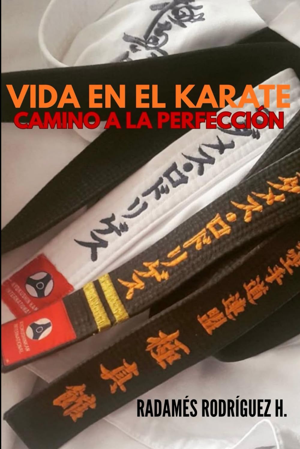 VIDA EN EL KARATE: CAMINO A LA PERFECCIÓN