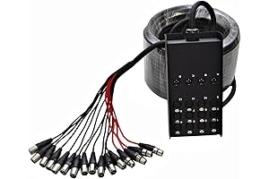 SG DJ SNAKE: 100FT XLR SNAKE WITH 12 XLR INPUTS