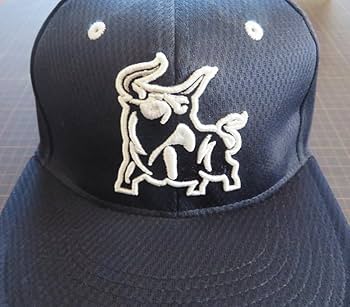 オリックスバファローズ2020 3rdプロコレキャップ オリックスバファローズ2020 3rdプロコレキャップ