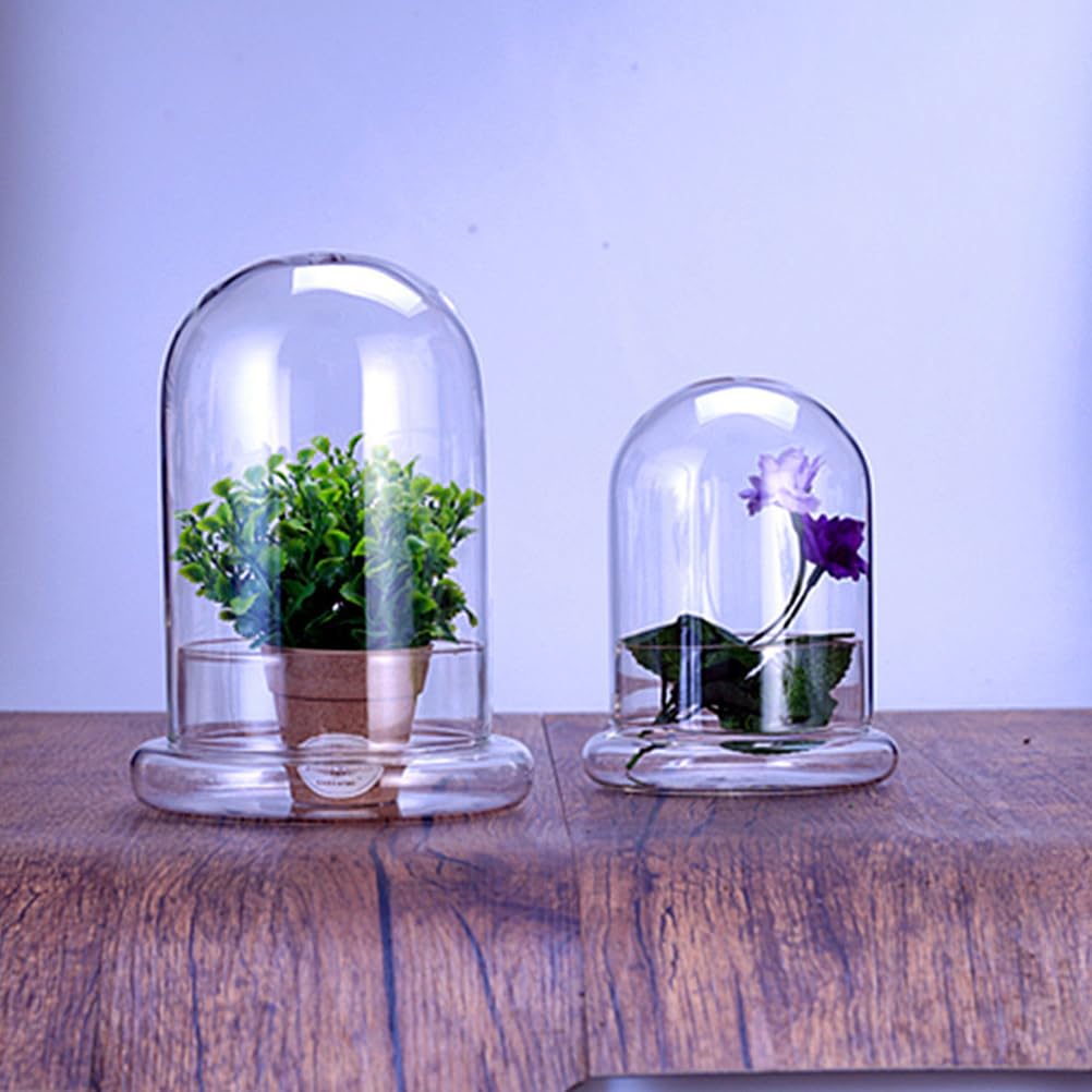 Bottiglia Di Vetro Per Terrario 6.69X4.72In Bottiglia Vuota Ecologica Con Cupola Trasparente Per Micro Paesaggio Muschio Display Casa Ufficio Decorazione