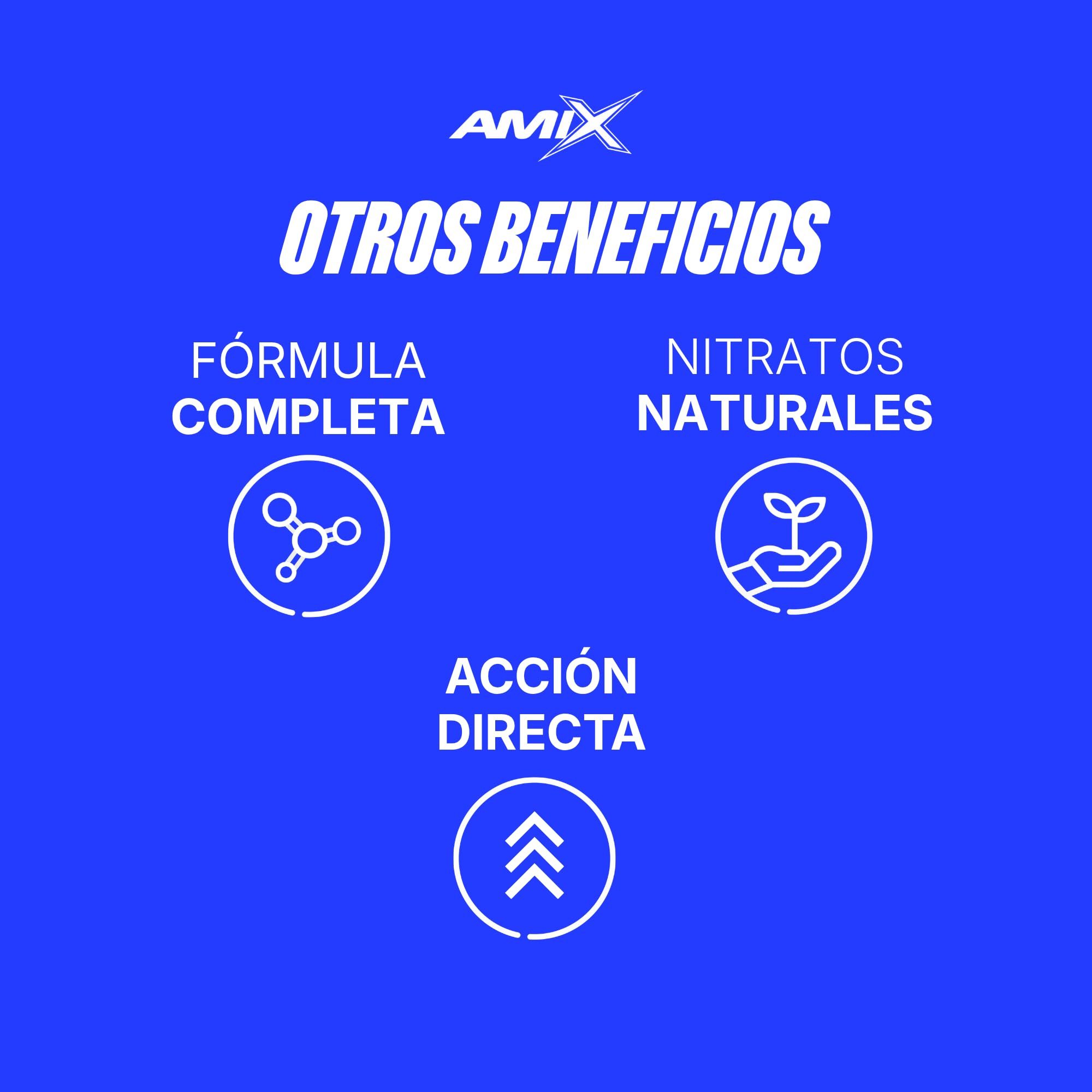 Amix Nitro Beet Root MAX – Sabor Cereza - 20 Shots de 60 ml – Concentrado de nitratos de remolacha y Oxystorm® – Con vitamina C – Formato líquido listo para tomar antes del entrenamiento