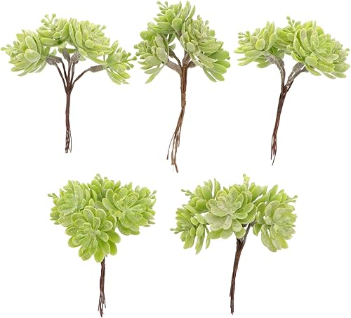 Angoily 5 piezas de flores artificiales de plástico artificiales para decoración de cactus sintéticos, mini plantas suculentas, ramo de plantas Angoily 5 piezas de flores artificiales de plástico artificiales para decoración de cactus sintéticos, mini plantas suculentas, ramo de plantas