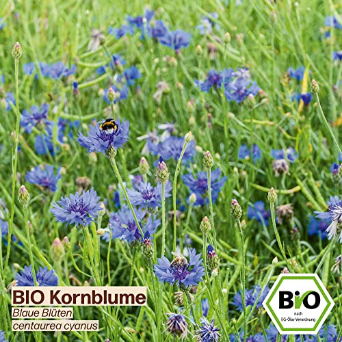 Samenliebe BIO essbare Blüten Samen Set mit 6 samenfesten Blumensamen Sorten für Garten Freiland und Balkon essbare Blüten BIO Blumen Saatgut - Image 5