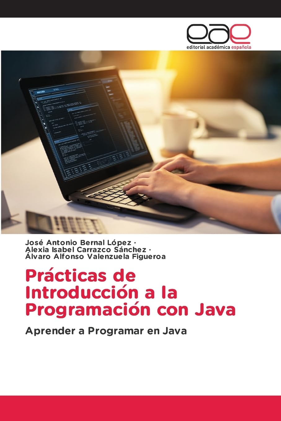 Prácticas de Introducción a la Programación con Java: Aprender a Programar en Java