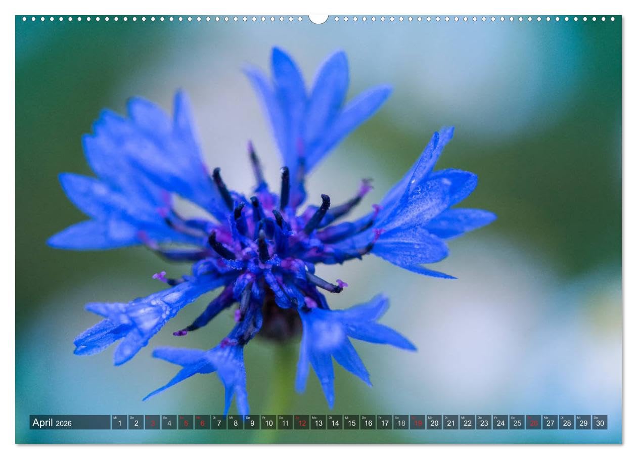 Feng Shui Farben - Element Wasser (hochwertiger Premium Wandkalender 2026 DIN A2 quer), Kunstdruck in Hochglanz: Die Farbe Blau steht im Feng Shui für das Element Wasser (CALVENDO Natur)