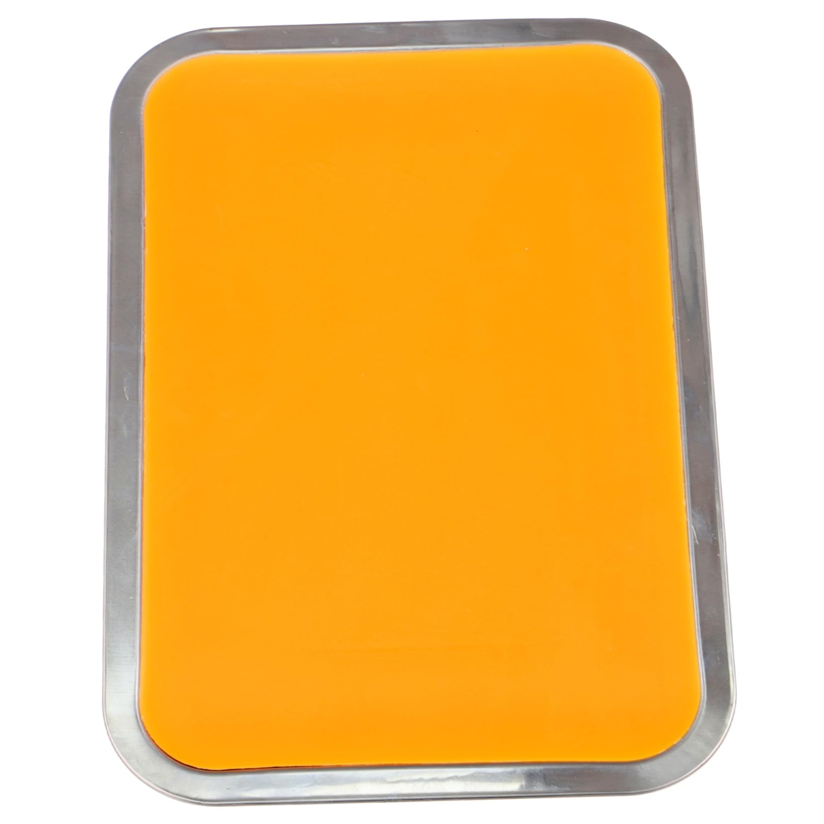 ULTECHNOVO Bandeja de Disección de Cera de Acero Inoxidable A4, 21x31cm, Ligera y Portátil, para Docencia y Anatomía