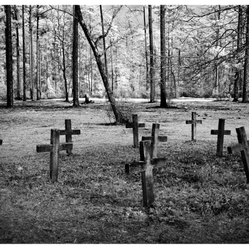 The Haunting Beauty of Appalachia cover art
