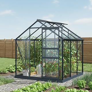 Green Protect serre en verre Rinca 3,5 m², aluminium anthracite