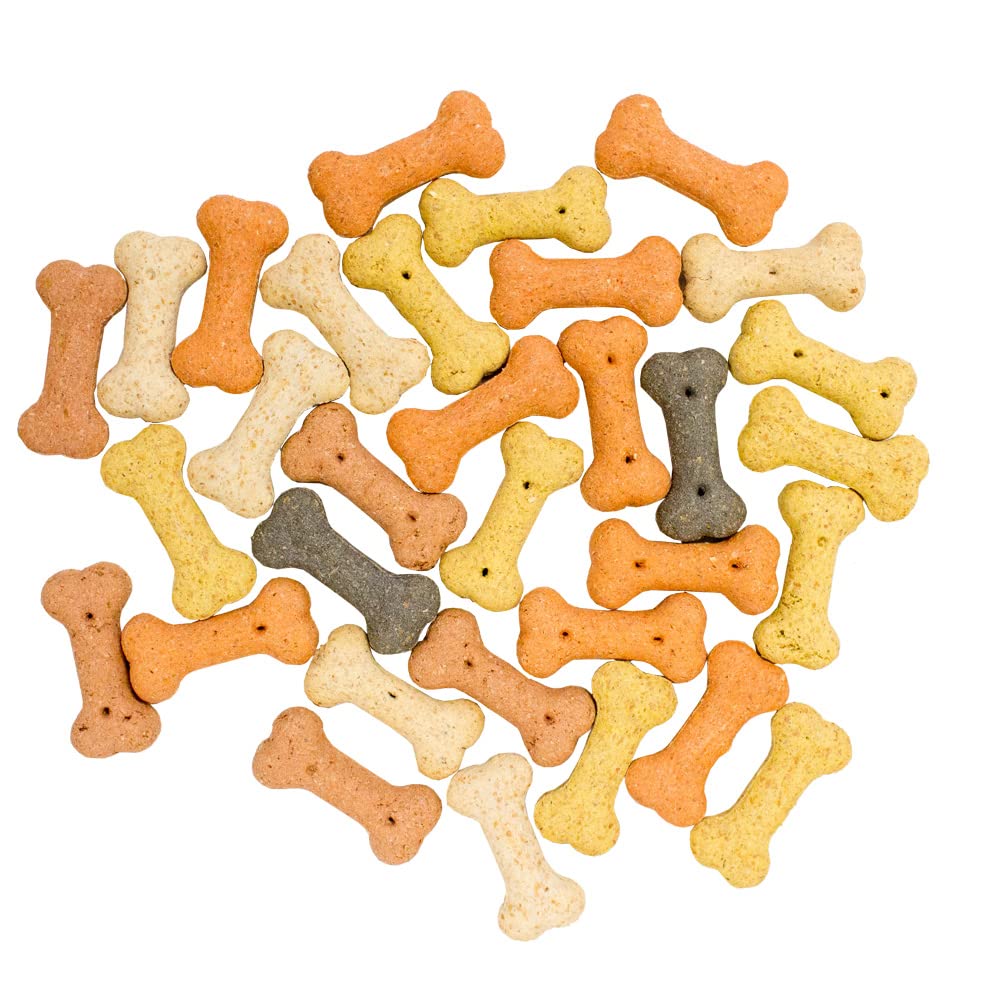 Extra Select Mini Boni-Bix Assorted 500g - Crunchy Bone-Shaped Dog Biscuits, Supports Dental Health, Complementary Treat