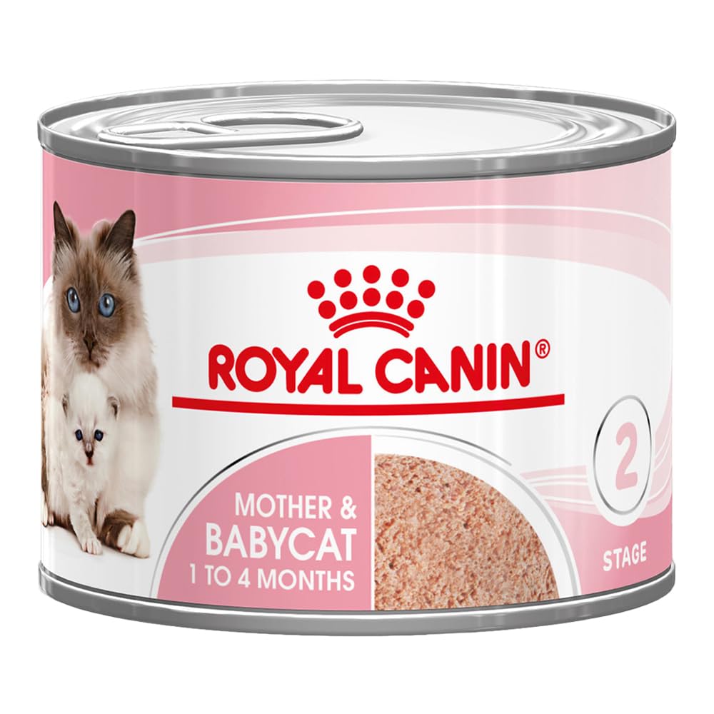 Royal Canin Mother & Babycat Mousse 12 x 195 g Aliment Complet pour Chats