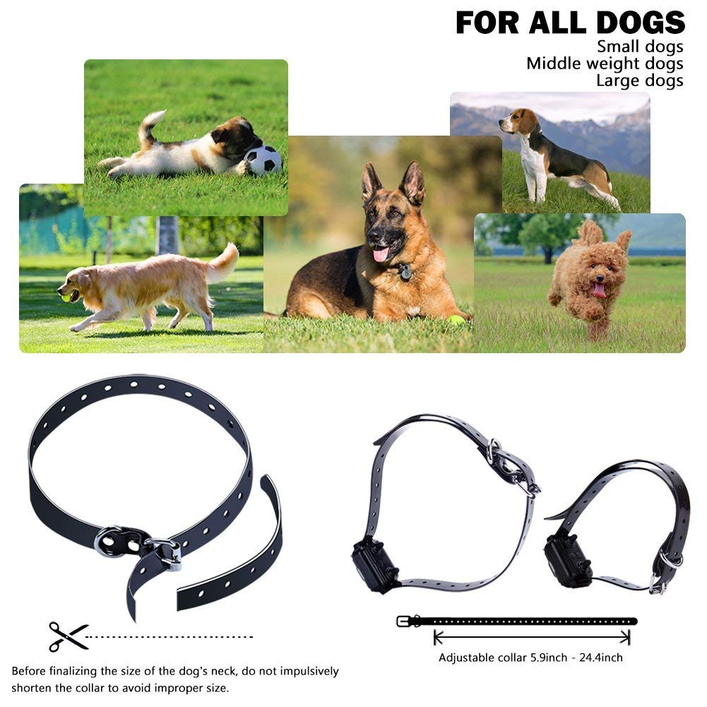 Collier de Dressage pour Chien avec bip/Vibration/Choc, étanche et Rechargeable, télécommande, portée de 800 mètres