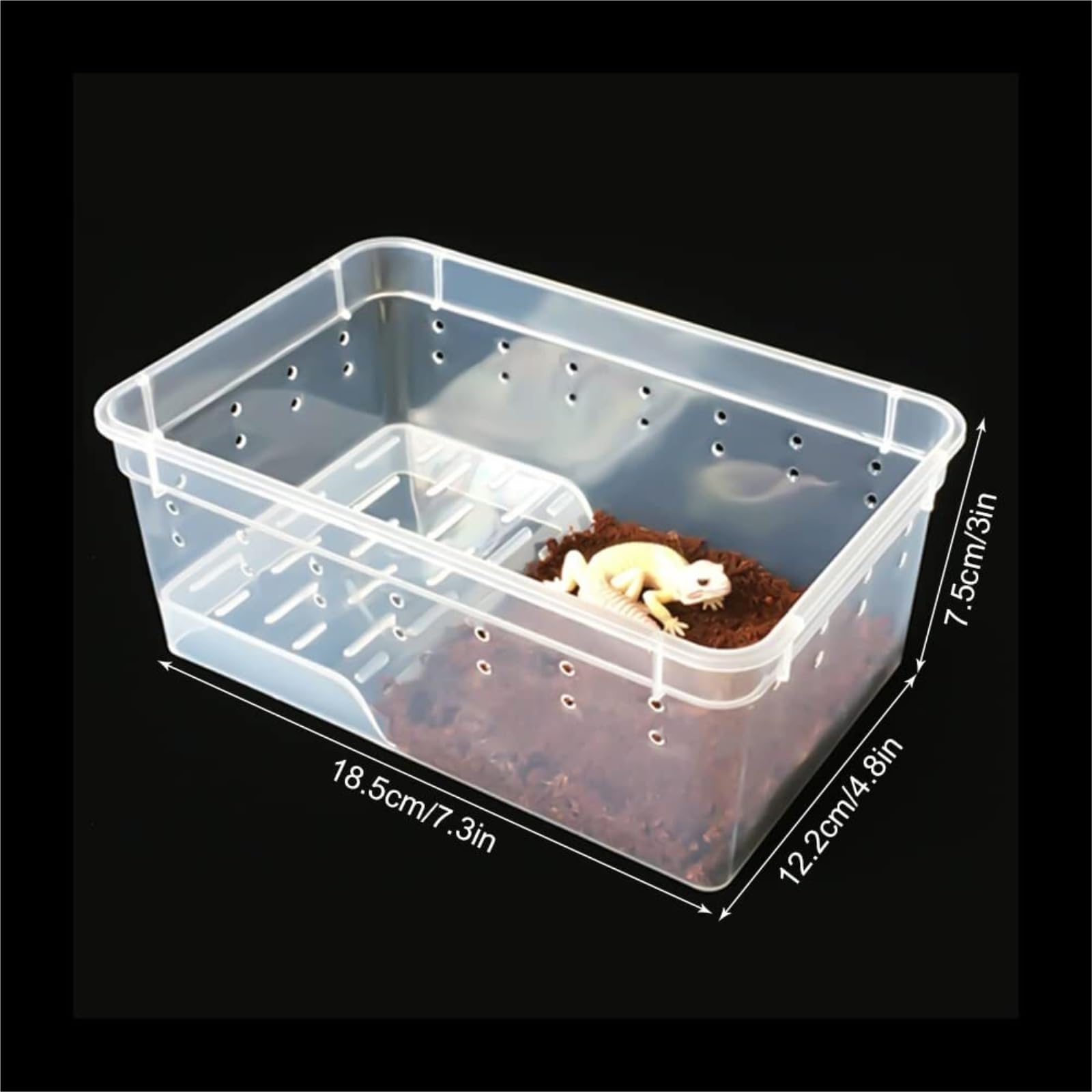 Terrarium Dla Gadów Szafka Do Hodowli Gadów Z Karmnikiem Szafka Do Karmienia Owadów Pudełko Do Hodowli Gadów(White)