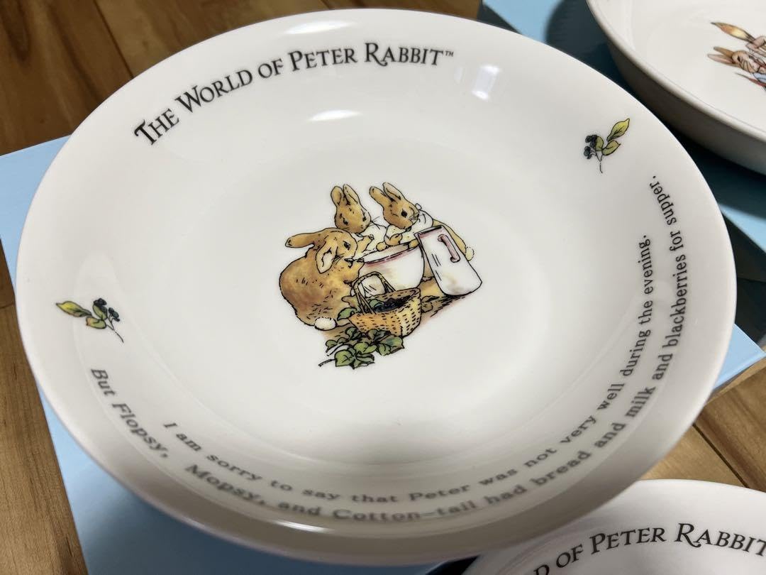 Amazon | ピーターラビット パスタカレー皿 2枚セット pr271br-3