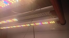 Review Image by Leeroy Leeroy