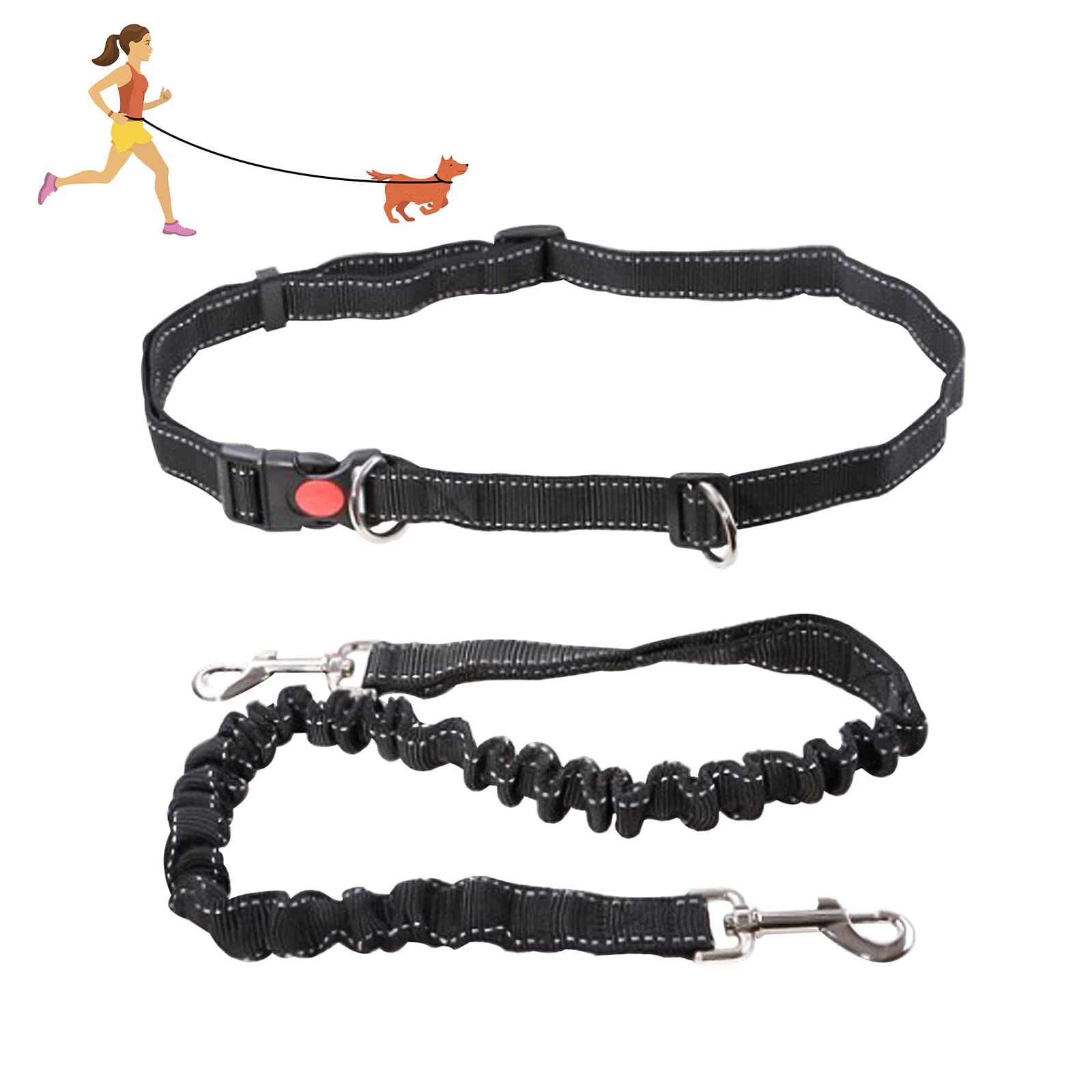 Laisse mains libres pour chien grande taille pour éviter les tiraillements avec ceinture