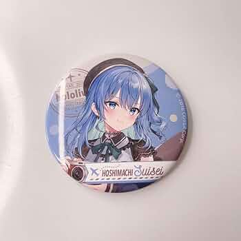 ホロライブ　不知火建設　しらけん　星街すいせい　缶バッジ　48個セット ホロライブ しらないこと研究会 しらけん Gratte 缶バッジ 星街