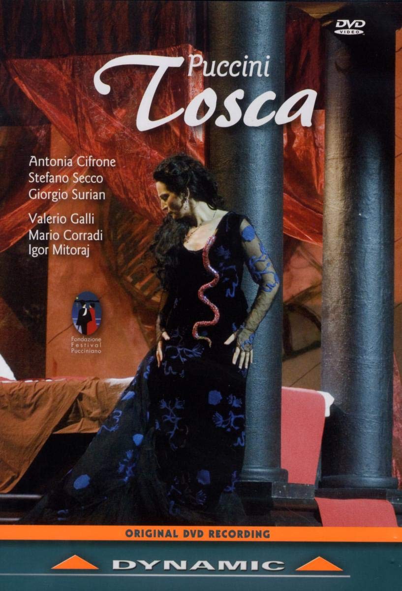 Tosca: The Puccini Festival [DVD] [2000] [NTSC]
