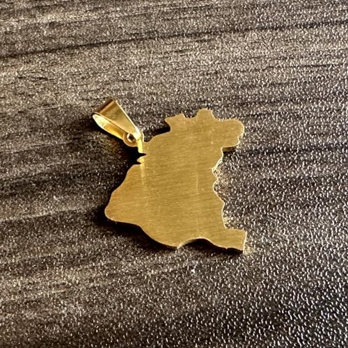 Fashion Drip oil Necklace Stainless Steel Brazil Map Pendant necklace4