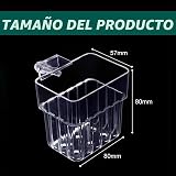 Ver la foto 2