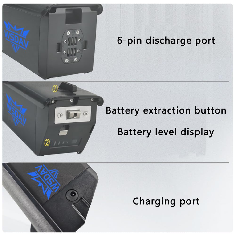 Batteria agli ioni di Litio 36V 17,5Ah 24,5Ah 30Ah Pacco Batteria al Litio 48V 14Ah 17,5Ah 20Ah Batterie per Motore 0-1100W con caricabatteria